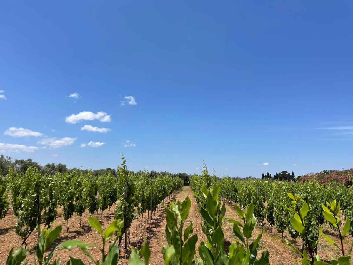 אוטרנטו Agriturismo Terra Rossa מראה חיצוני תמונה
