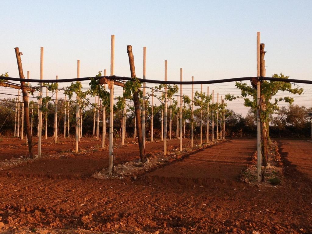 אוטרנטו Agriturismo Terra Rossa מראה חיצוני תמונה