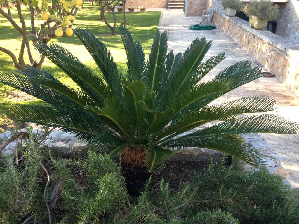אוטרנטו Agriturismo Terra Rossa מראה חיצוני תמונה