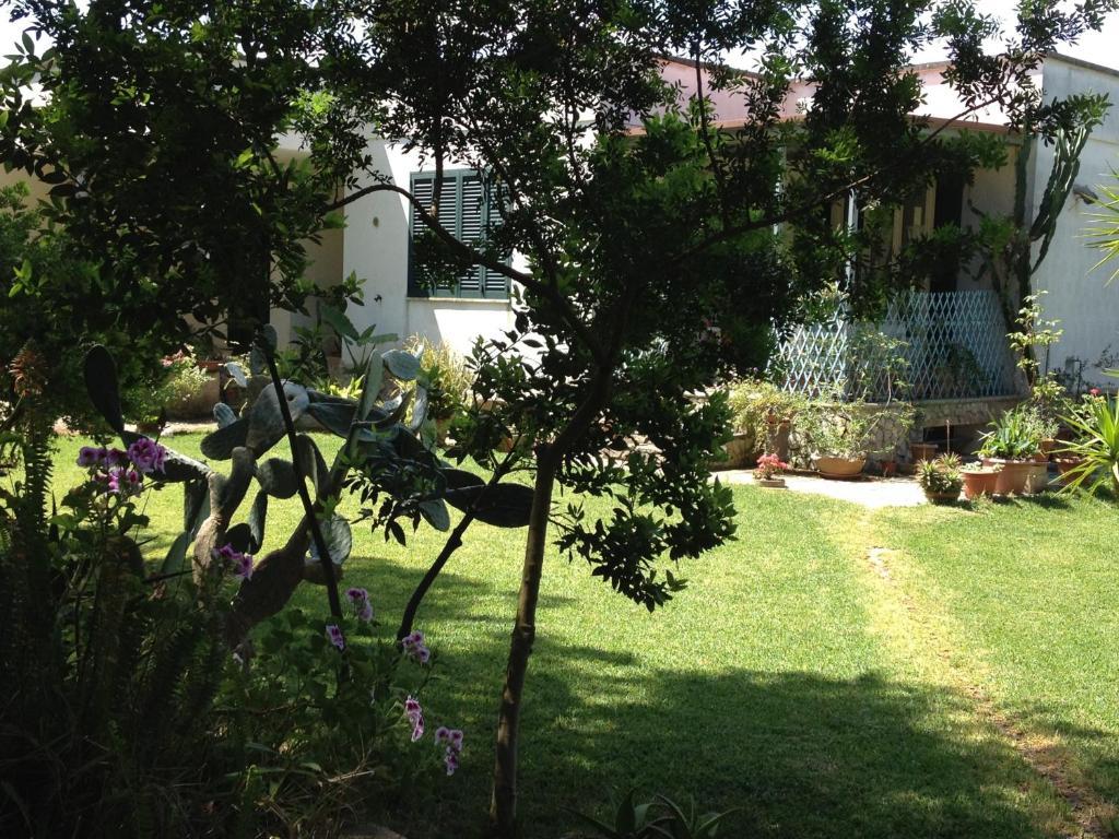 אוטרנטו Agriturismo Terra Rossa מראה חיצוני תמונה