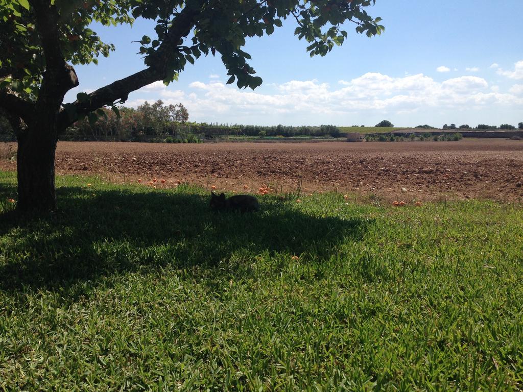 אוטרנטו Agriturismo Terra Rossa מראה חיצוני תמונה