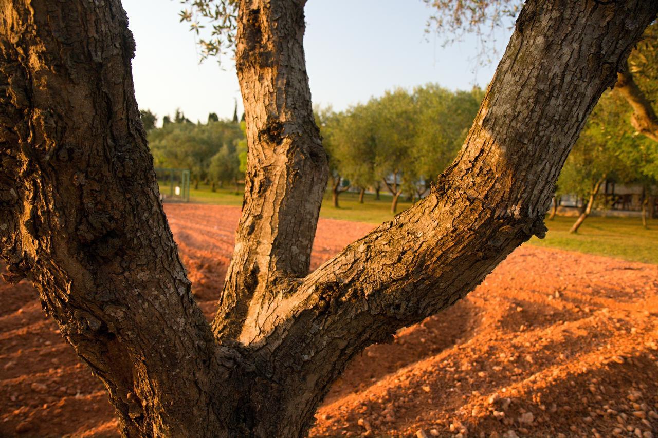 אוטרנטו Agriturismo Terra Rossa מראה חיצוני תמונה
